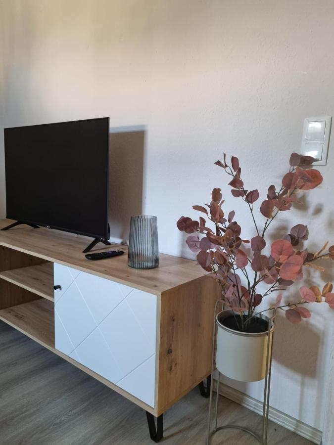 Modern Eingerichtet-Stadtnah-Ferienwohnung Mit Geschirrspueler Und Waschmaschine Friedland  Buitenkant foto